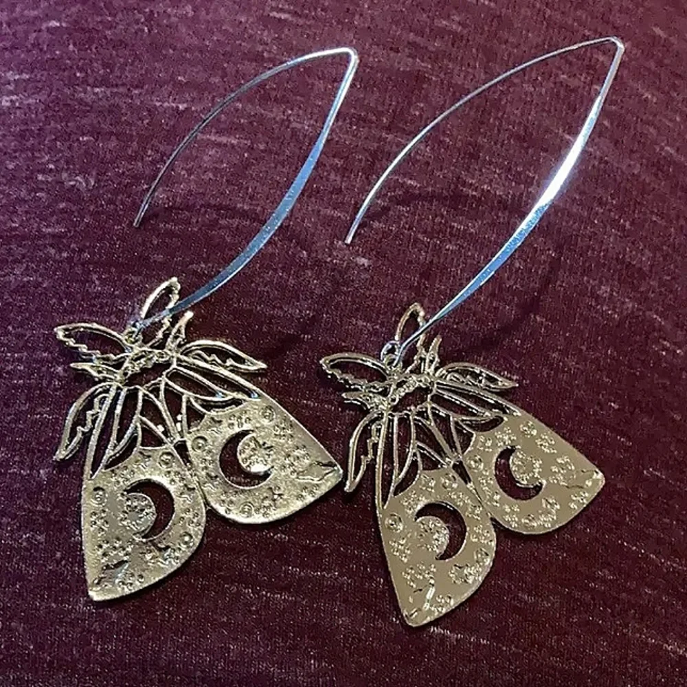 Silver Fly Earrings